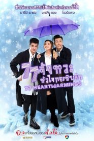 77 Heartwarmings (2021) 77 จังหวะหัวใจกระซิบรัก