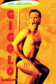 Deuce Bigalow Male Gigolo (1999) ดิ๊วซ์ บิ๊กกะโล่ ไม่หล่อ…แต่เร้าใจ