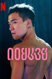 Doi Boy (2023) ดอยบอย