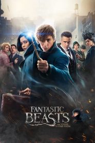 Fantastic Beasts 1 and Where to Find Them (2016) สัตว์มหัศจรรย์และถิ่นที่อยู่