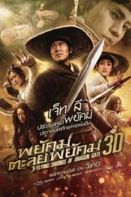 Flying Swords Of Dragon Gate (2011) พยัคฆ์ตะลุยพยัคฆ์