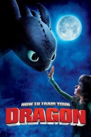 How to Train Your Dragon (2010) อภินิหารไวกิ้งพิชิตมังกร