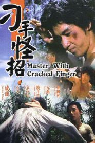 Master With Cracked Fingers (1971) มังกรหมัดเทวดา